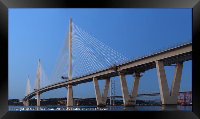 Queensferry Crossing in Panorama Framed Print by Maria Gaellman