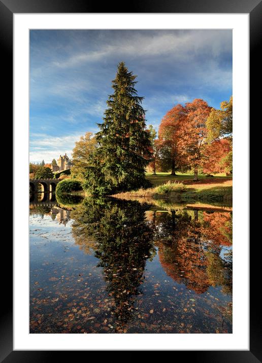 Autumn Tree Reflection Framed Mounted Print by Grant Glendinning