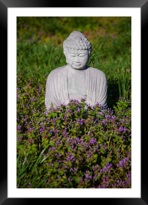 Lopburi Style Buddha Framed Mounted Print by Luc Novovitch