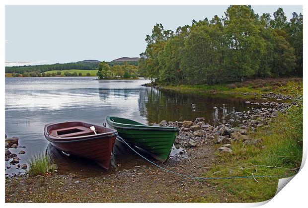 Boats by Loch Knockie Print by Jacqi Elmslie
