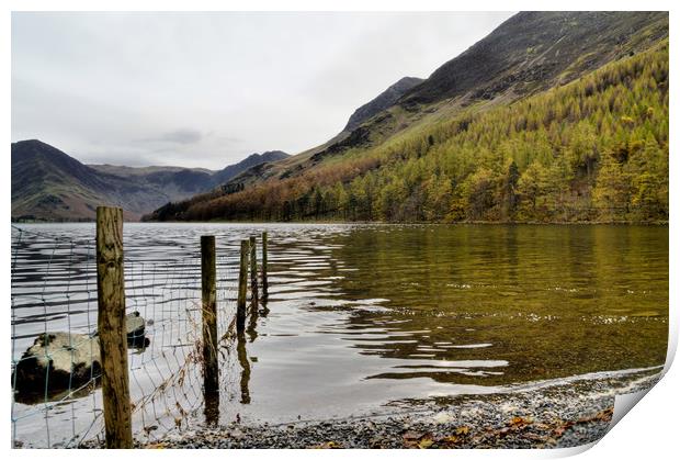 Buttermere in Autumn Print by Sarah Couzens