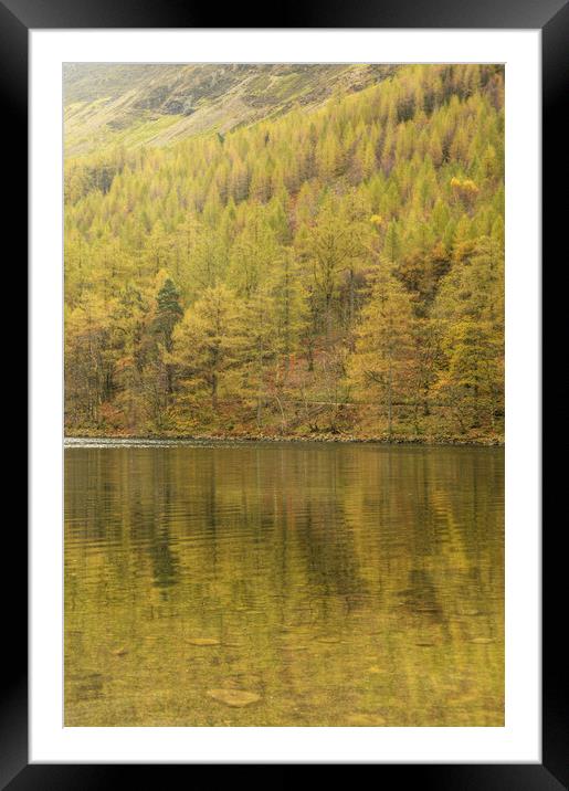 Buttermere - Reflections of Autumn  Framed Mounted Print by Sarah Couzens