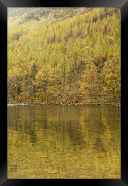 Buttermere - Reflections of Autumn  Framed Print by Sarah Couzens