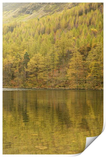 Buttermere - Reflections of Autumn  Print by Sarah Couzens