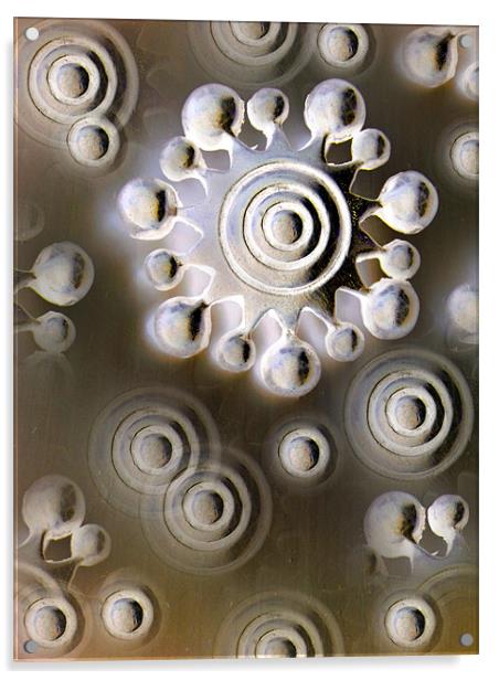 solar spirals Acrylic by Heather Newton