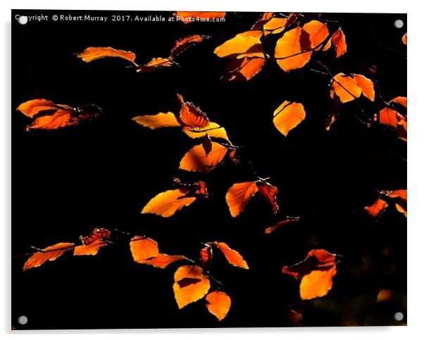 Golden Leaves of Autumn 2 Acrylic by Robert Murray