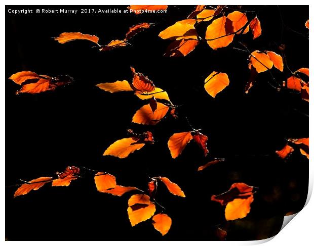 Golden Leaves of Autumn 2 Print by Robert Murray