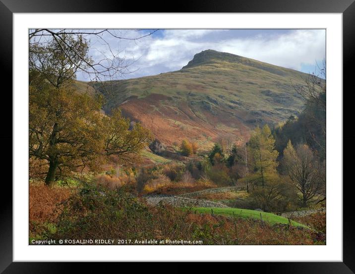 "Autumn at Helvellyn" Framed Mounted Print by ROS RIDLEY