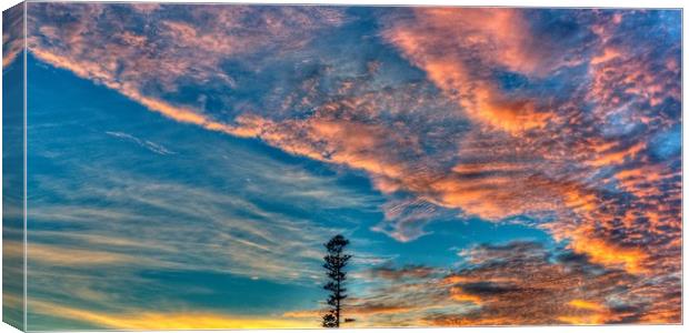 Lone Pine orange sunrise cloud. Canvas Print by Geoff Childs