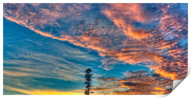Lone Pine orange sunrise cloud. Print by Geoff Childs