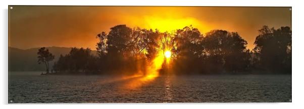 Misty Sunrise Through Trees.  Acrylic by Geoff Childs