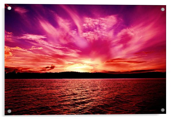 Spectacular Pink Orange Violet Ocean Sunset. Austr Acrylic by Geoff Childs