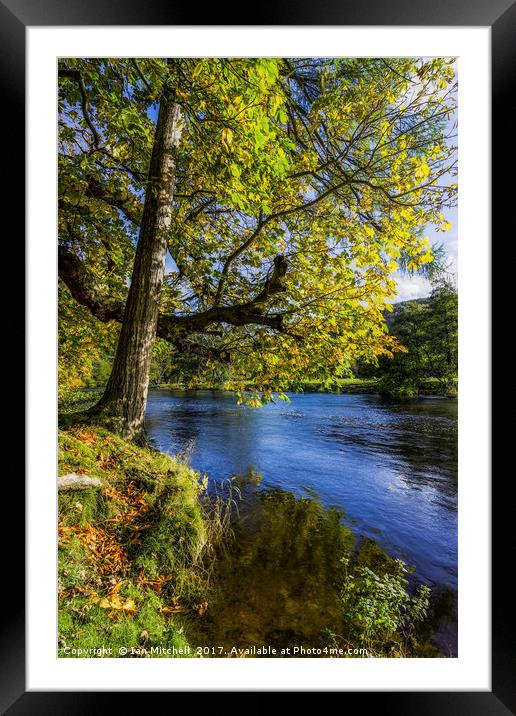 Autumn By The River Framed Mounted Print by Ian Mitchell