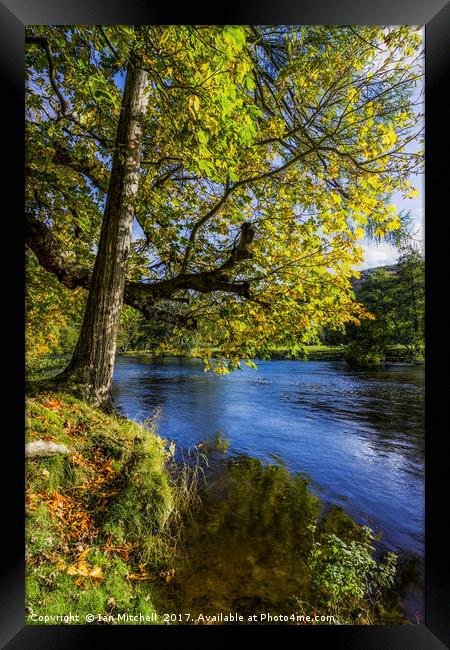 Autumn By The River Framed Print by Ian Mitchell