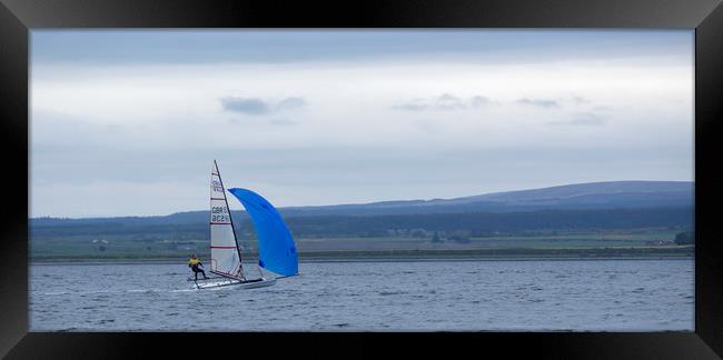 Sailor on the Moray Firth Framed Print by Alan Whyte