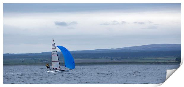 Sailor on the Moray Firth Print by Alan Whyte