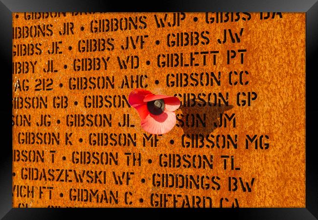 IBCC wall of names and poppy Framed Print by Gary Eason