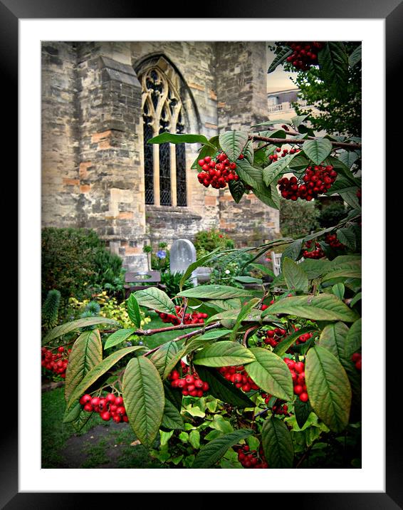 Bristol Cathedral Garden Framed Mounted Print by Heather Goodwin
