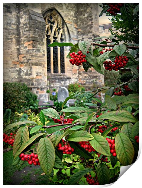 Bristol Cathedral Garden Print by Heather Goodwin