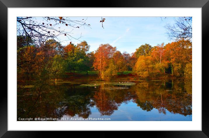 Autumnal Lake Reflections      Framed Mounted Print by Dave Williams