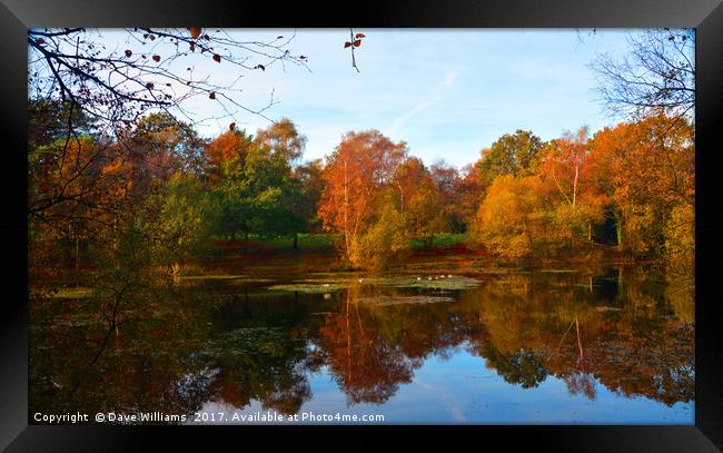 Autumnal Lake Reflections      Framed Print by Dave Williams