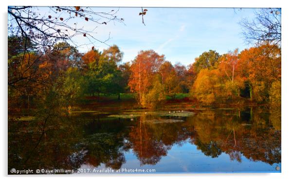 Autumnal Lake Reflections      Acrylic by Dave Williams