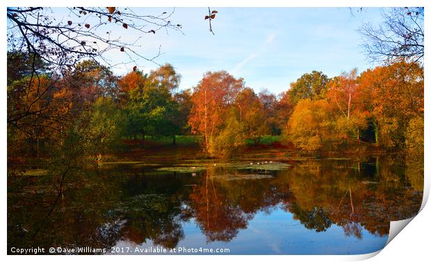 Autumnal Lake Reflections      Print by Dave Williams