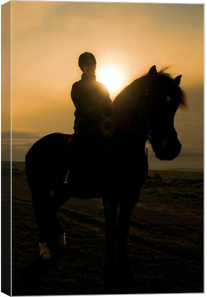 Horse Rider and Morning Light Canvas Print by Eddie Howland