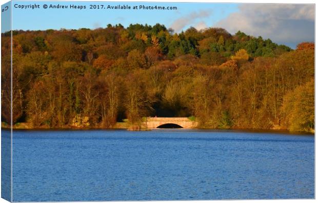 Autumn view of reservoir  lake in Staffordshire Canvas Print by Andrew Heaps