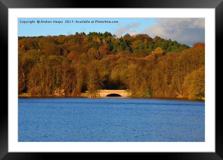 Autumn view of reservoir  lake in Staffordshire Framed Mounted Print by Andrew Heaps