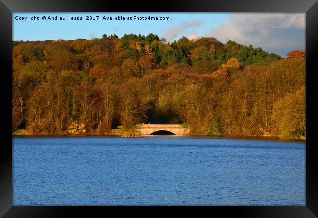 Autumn view of reservoir  lake in Staffordshire Framed Print by Andrew Heaps