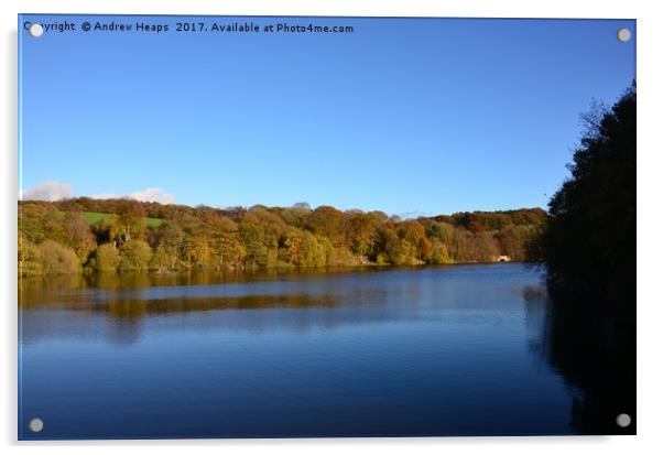 Autumn view of reservoir  lake in Staffordshire  Acrylic by Andrew Heaps