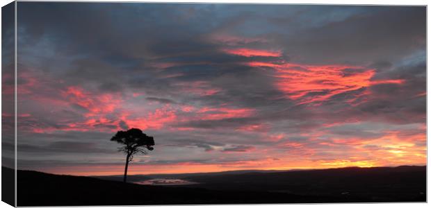 Big Sky Above the Beauly Firth and Inverness  Canvas Print by Macrae Images