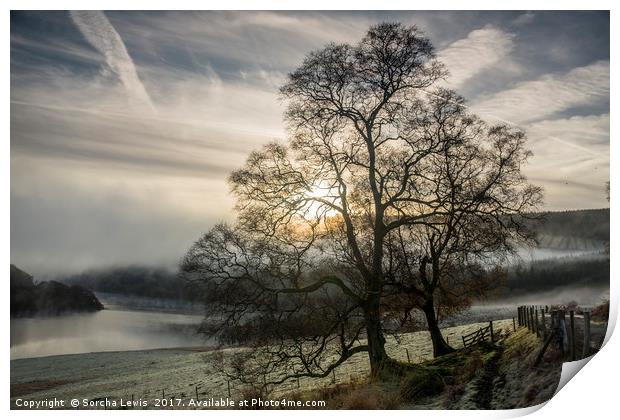 Troedrhiwdrain, Penygarreg sunrise, Elan Valley Print by Sorcha Lewis