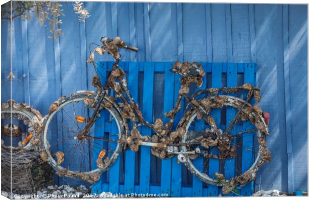 Oyster covered bicycle against blue fence Canvas Print by Philip Pound