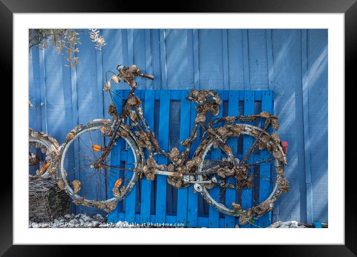 Oyster covered bicycle against blue fence Framed Mounted Print by Philip Pound