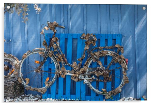 Oyster covered bicycle against blue fence Acrylic by Philip Pound