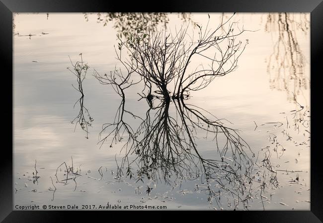 Flooded East Anglian Landscape’s Reflection Framed Print by Steven Dale