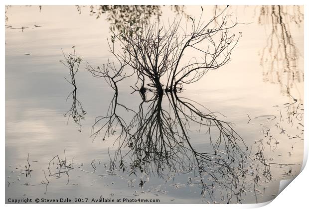 Flooded East Anglian Landscape’s Reflection Print by Steven Dale
