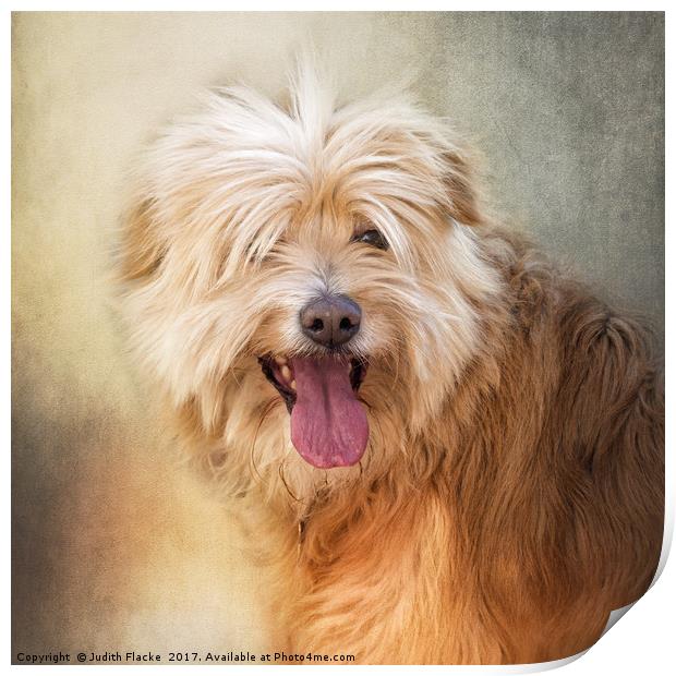 Rescue dog portrait. Print by Judith Flacke