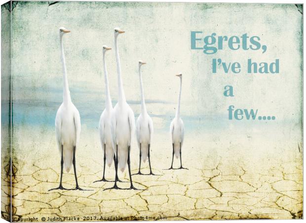 Egrets Canvas Print by Judith Flacke