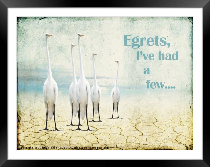 Egrets Framed Mounted Print by Judith Flacke