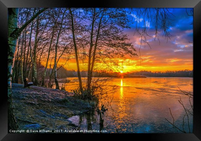 Horseshoe Lake Sunrise      Framed Print by Dave Williams