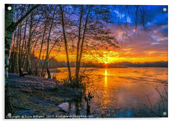 Horseshoe Lake Sunrise      Acrylic by Dave Williams