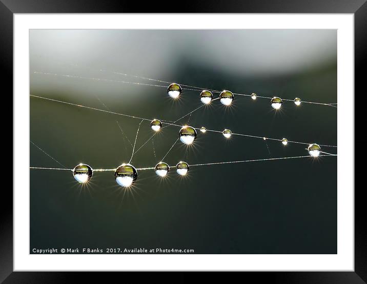 Dew Drop Rays Framed Mounted Print by Mark  F Banks