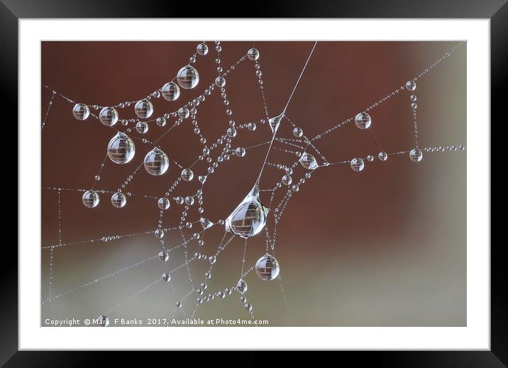 Brick Wall in Dew drops Framed Mounted Print by Mark  F Banks