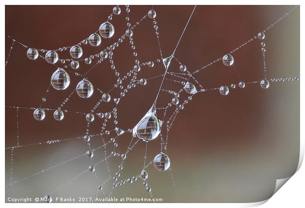 Brick Wall in Dew drops Print by Mark  F Banks