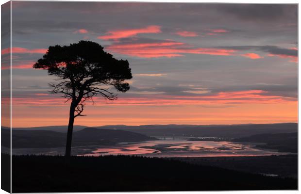 Daybreak Above the Beauly Firth and Inverness  Canvas Print by Macrae Images