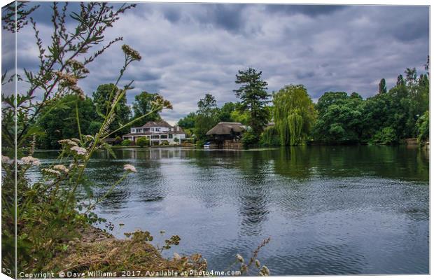 Henley-on-Thames Canvas Print by Dave Williams