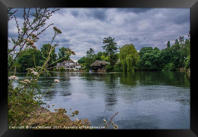 Henley-on-Thames Framed Print by Dave Williams